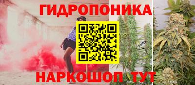 винт Ливны